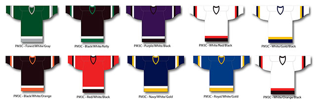 Custom Hockey Jersey 2 (Sublimated) - Philly Express Athletics